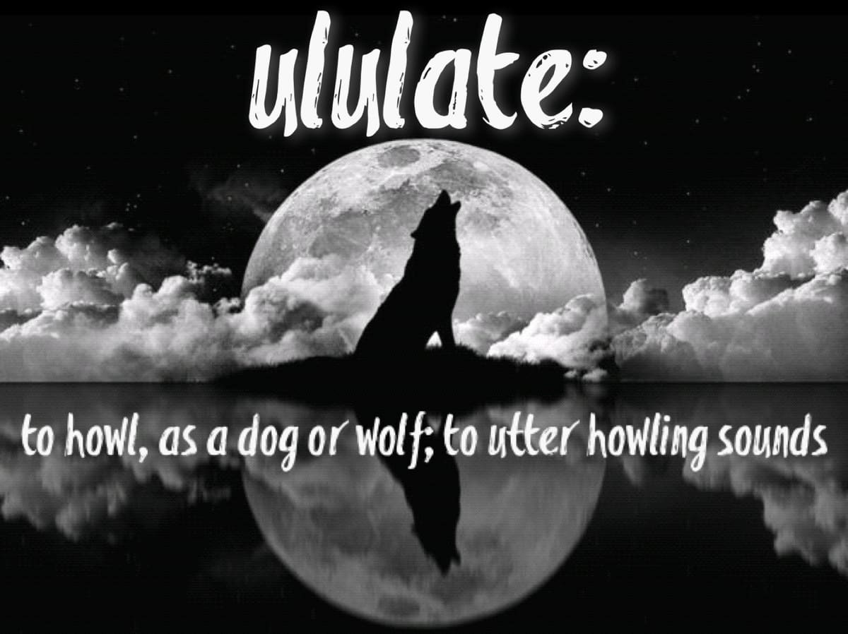 Ululate