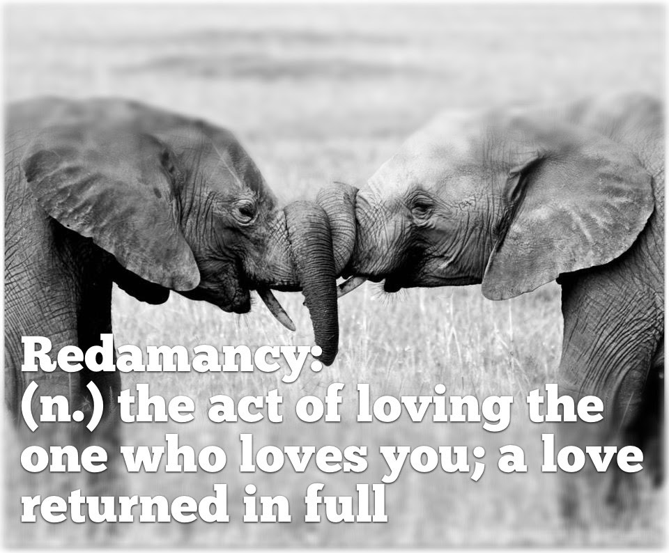 Redamancy
